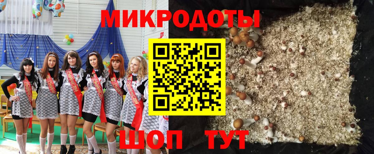 Псилоцибиновые грибы мицелий  Вход с VPN  Псилоцибиновые грибы Cubensis  Коркино 