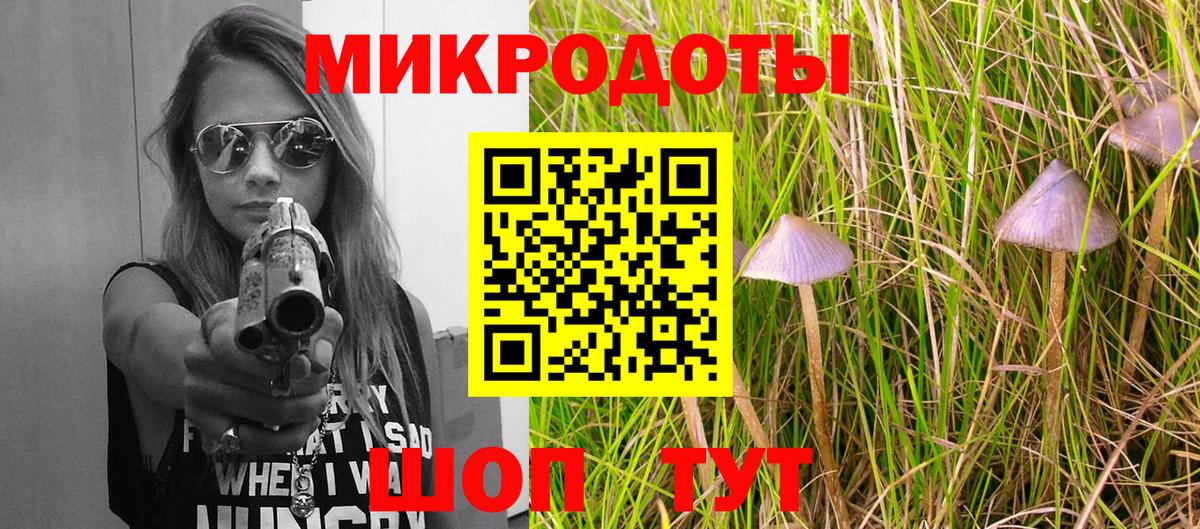 Псилоцибиновые грибы Psilocybine cubensis Коркино